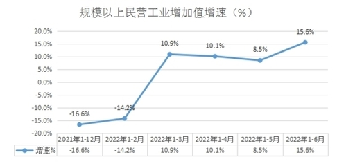 (內(nèi)蒙古自治區(qū))興安盟2022年上半年規(guī)模以上民營(yíng)工業(yè)經(jīng)濟(jì)穩(wěn)中有進(jìn)